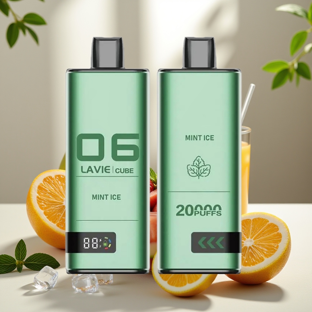 Lavie Cube 20000 Puffs 2/5 28ML Type C Mėtų Ledas