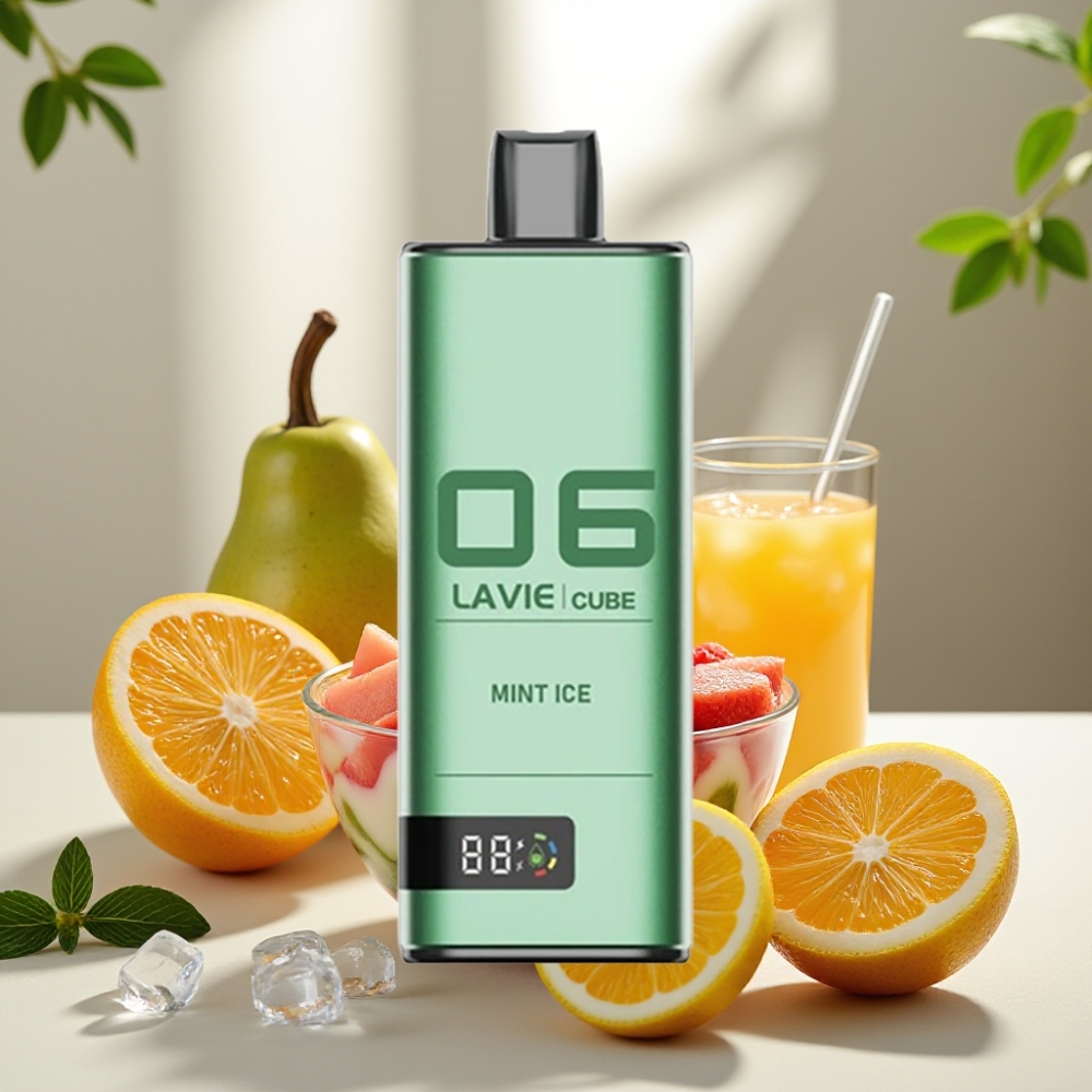 Lavie Cube 20000 Puffs 2/5 28ML Type C Mėtų Ledas