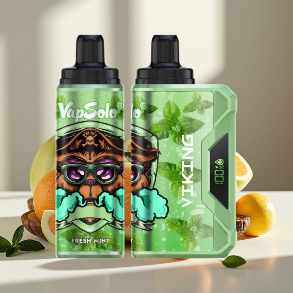VapSolo VIKING 12000 Puffs Šviežios Mėtos 22ml Type-C