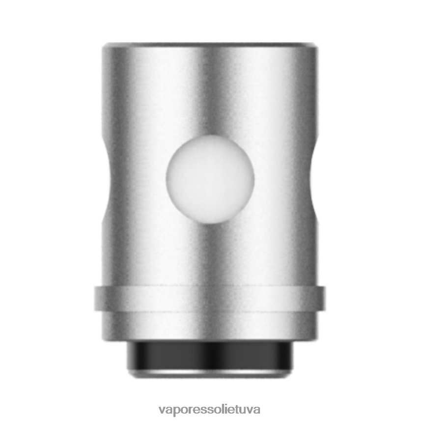 Vaporesso EUC ritės (5 vnt) euc Clapton 04ohm 8V0J4J365 Vaporesso Vape Pen